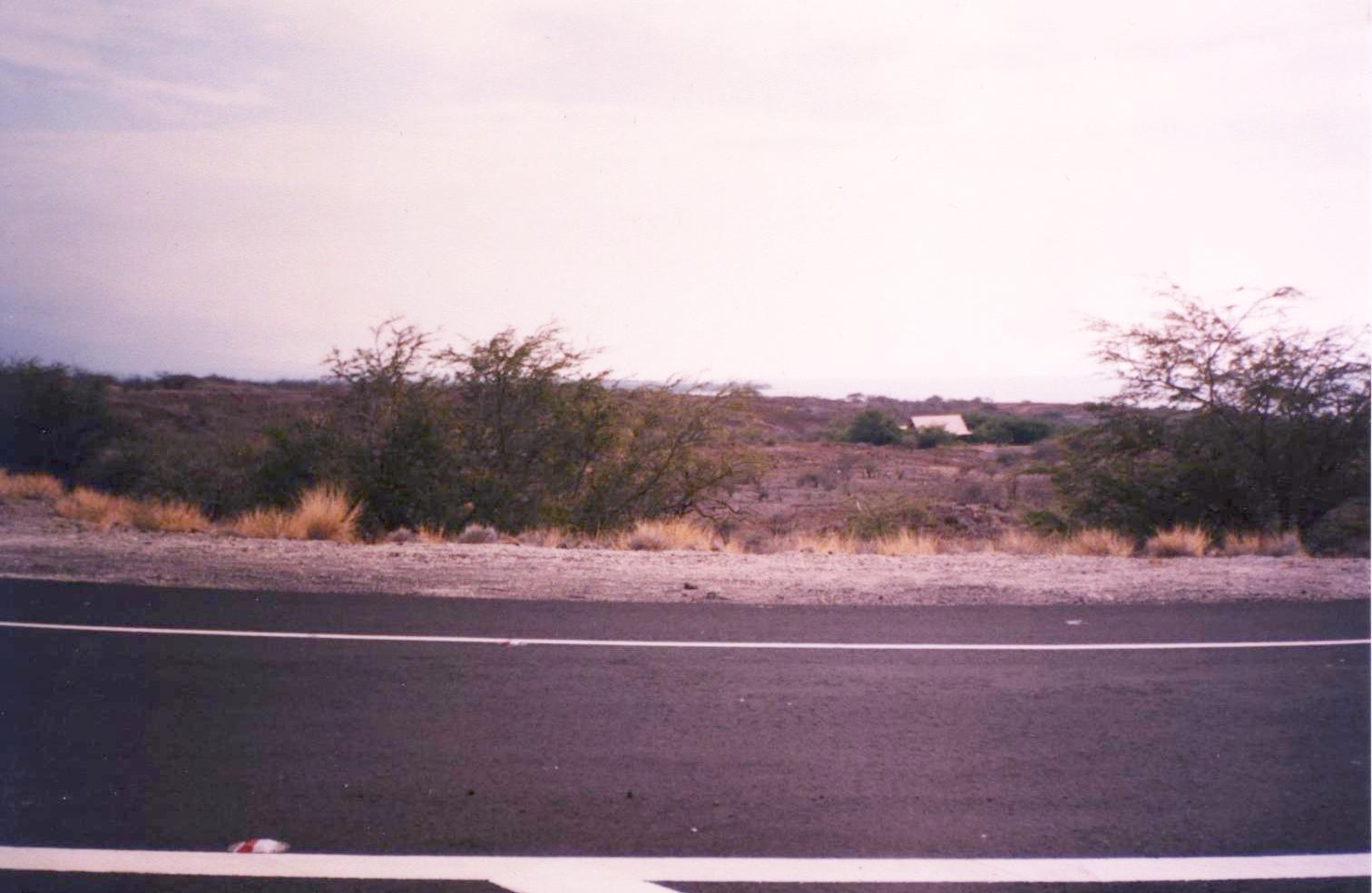 'Big Island';return true