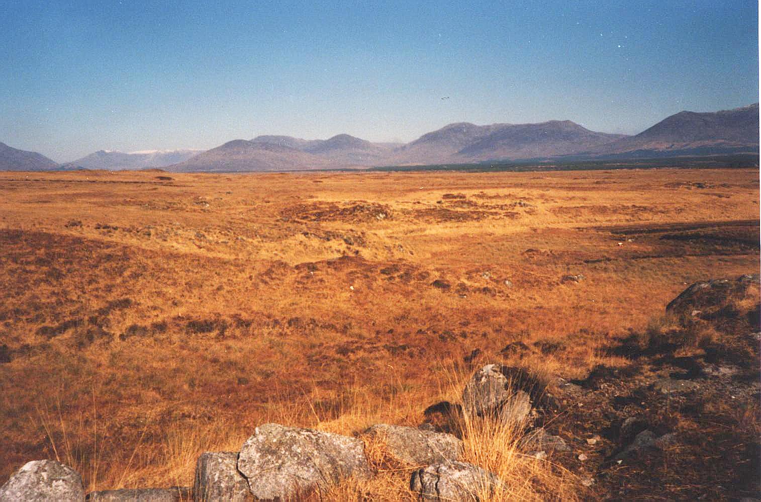 'Im County Connemara';return true