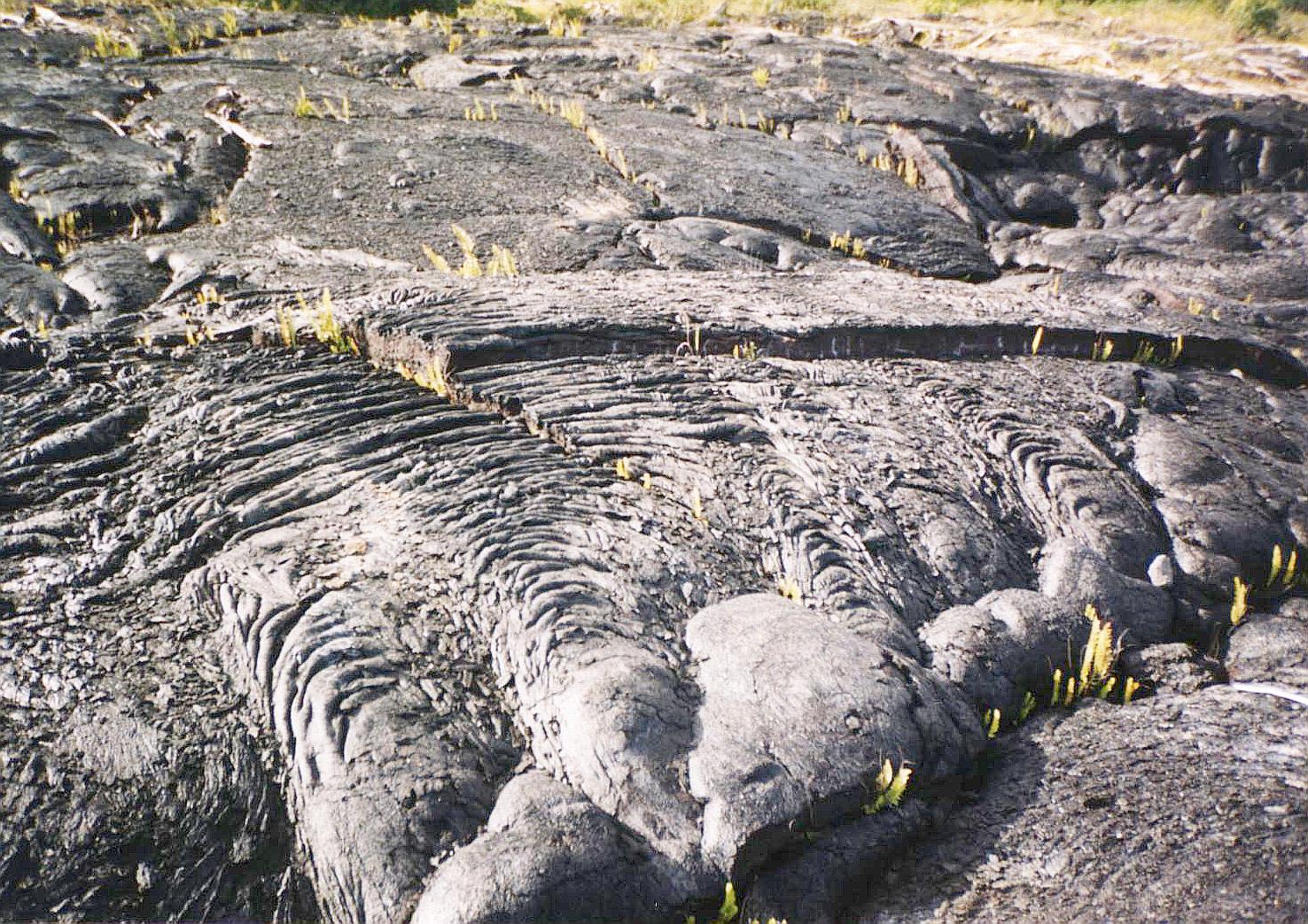 'Pahoehoe-Lava';return true