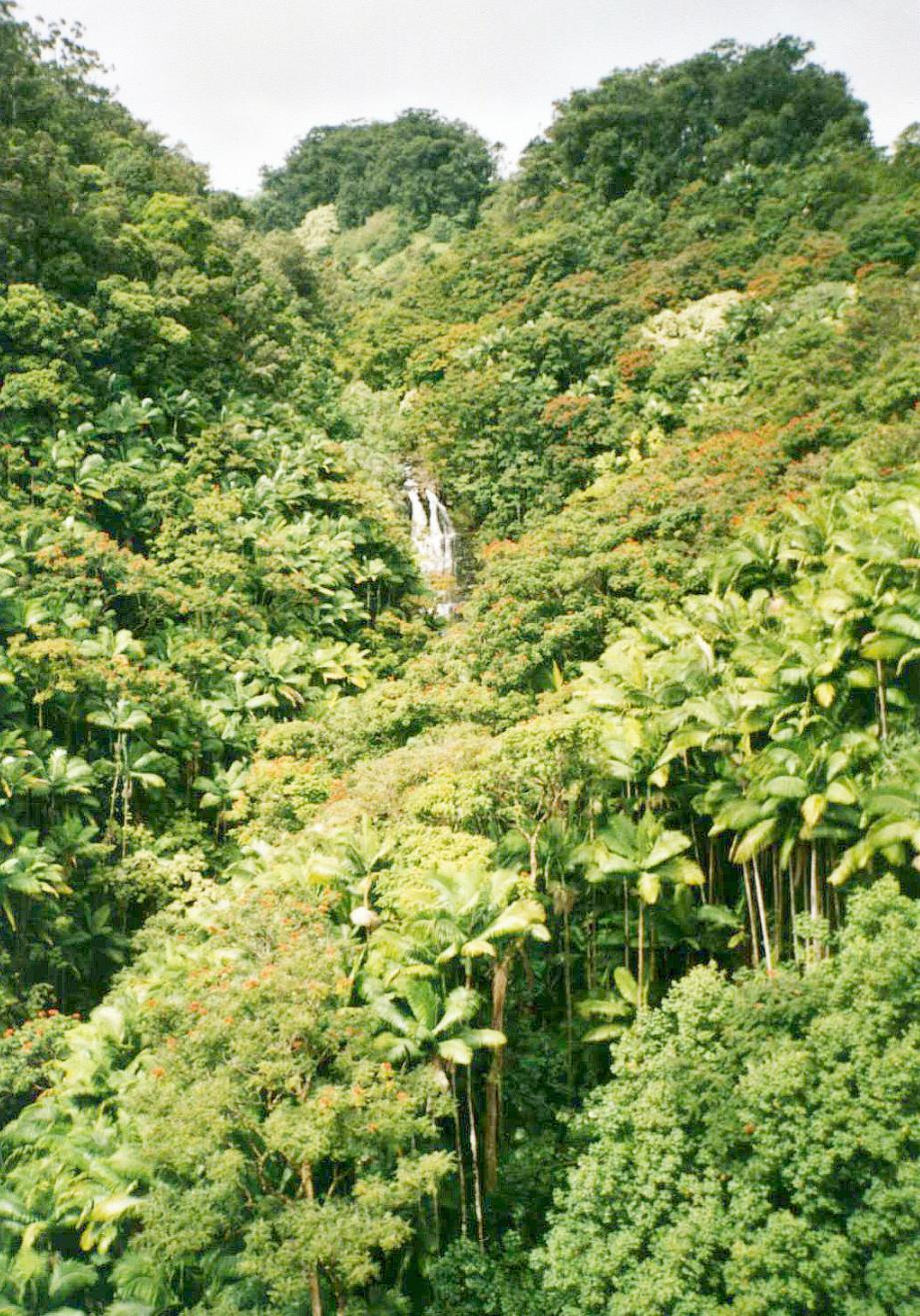 'Big Island';return true